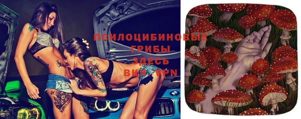 бутират Баксан